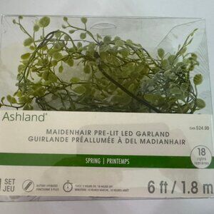 NWT Ashland Maidenhair Pre-Lit LED 6 Ft Garland- 18 Lights,Battery Operated